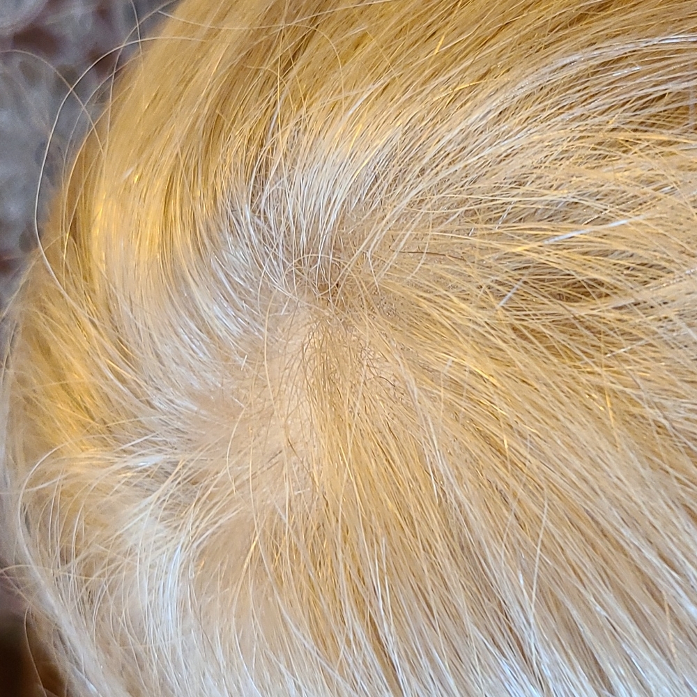 Human hair blend wig